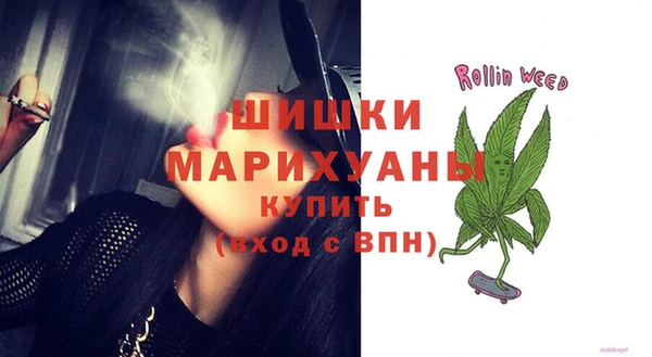 гидра Аркадак