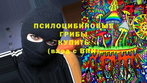 гидра Аркадак