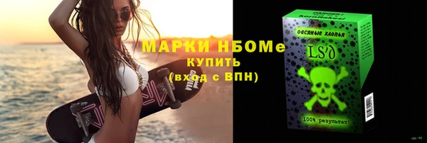 индика Ступино
