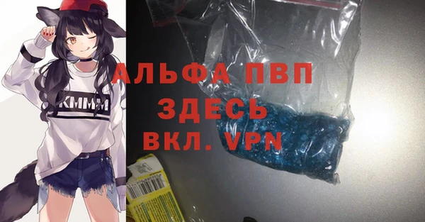 гидра Аркадак